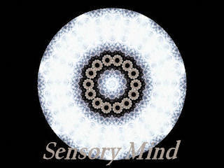 Sensory Mind